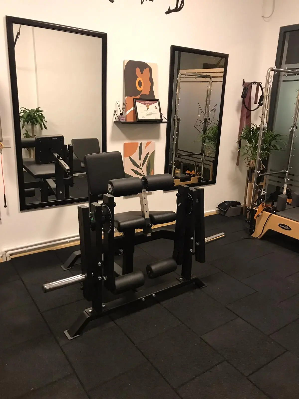 Leg Extension Leg Curl Combo Makinesi - Plaka Yüklemeli Makineler - METALGYM