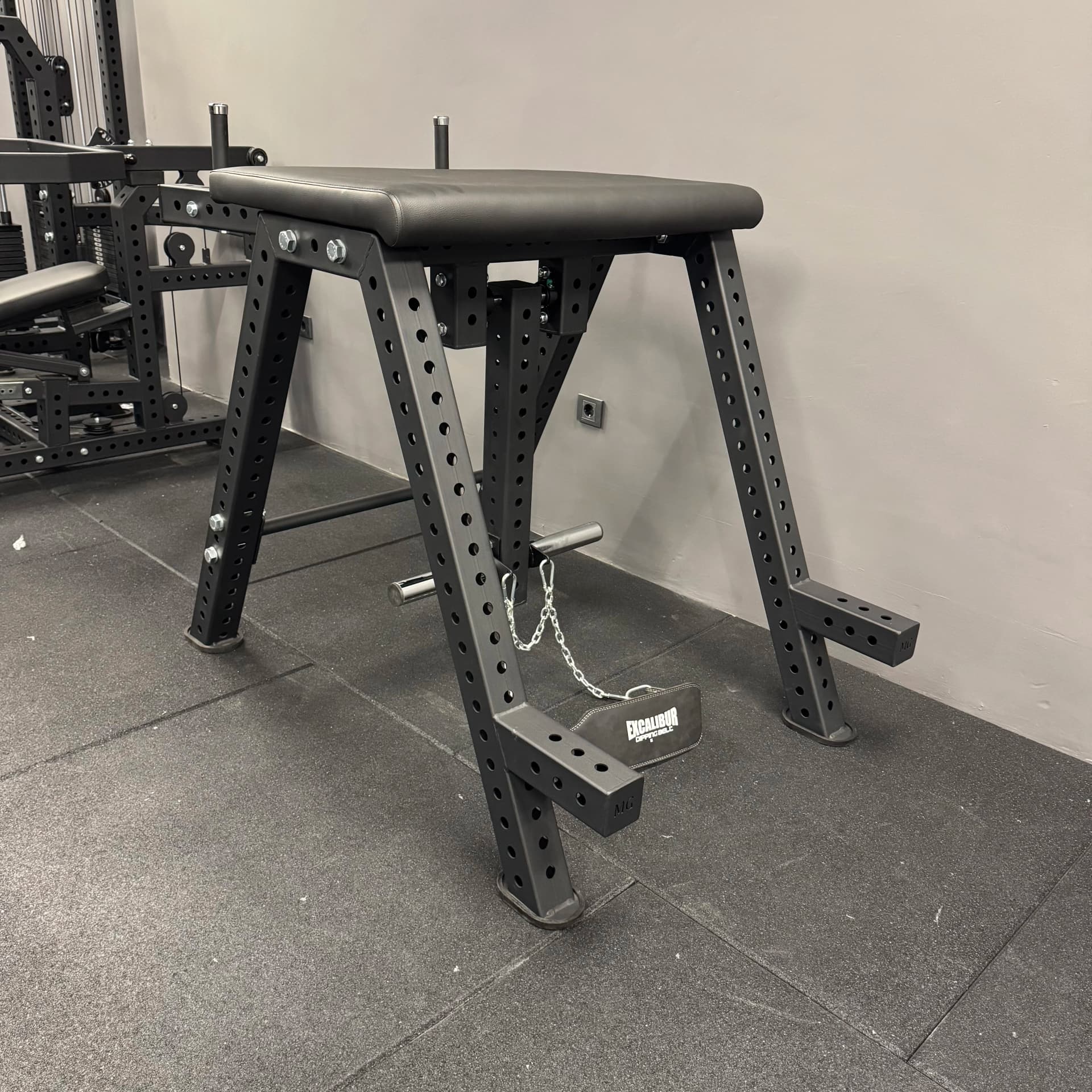 Reverse Hyper Maschine - Scheibenbelastete Maschinen - METALGYM