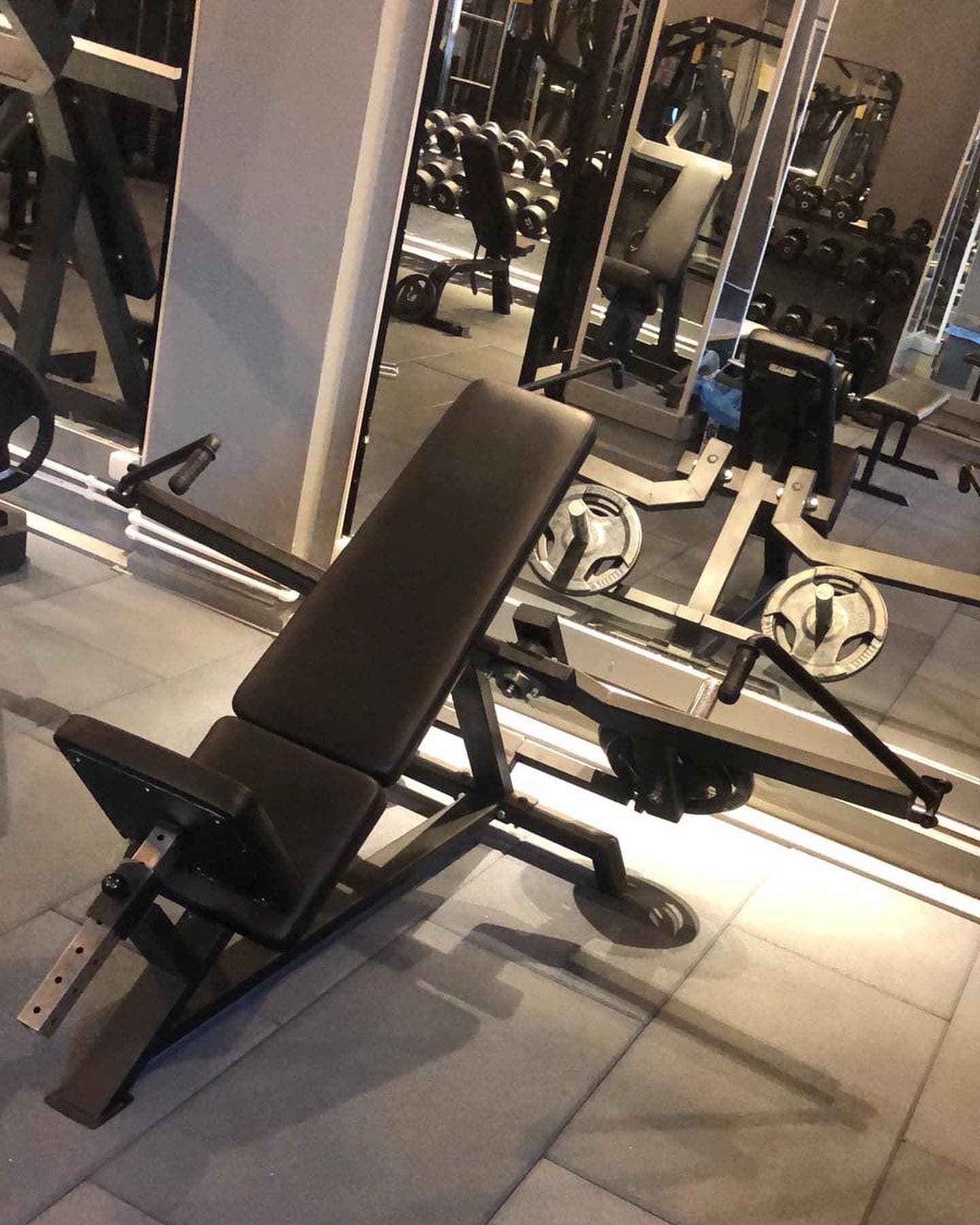 Pec-Fly Maschine - Scheibenbelastete Maschinen - METALGYM